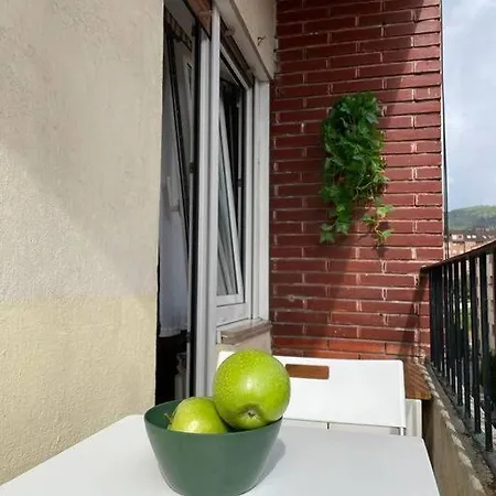Oviedo. Apartamento Sencillo, Luminoso Y Acogedor.